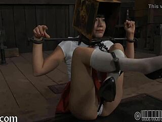 Bound Beauty Begs in Free Bondage Scene