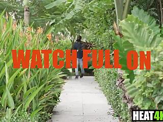 Gotham Clown Chase Harley Quinn Parody Cory Chase Ace Bigs Milf