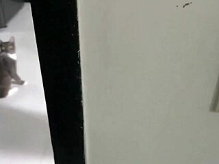 stepsis 18yo tempts anal plunge with bro's thick rod