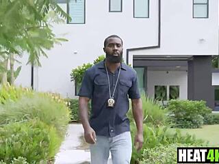 Gotham Clown Chase Harley Quinn Parody Cory Chase Ace Bigs Milf