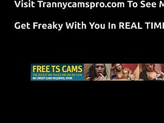 Hey this petite shemale licks her own cock hot