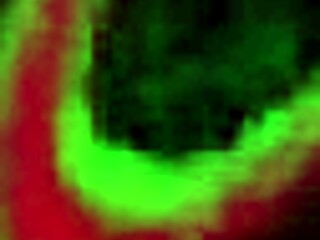 how does busty carmella clutch take rome major's wet pussy birthday pounding?