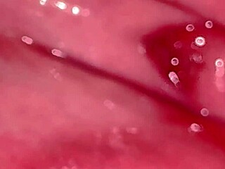 Amateur Japanese Wife Licks Shaved Pussy 361 Days Post-Virginity Loss Close-Up