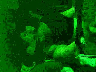 Intense homemade passion as I fuck my girlfriend deep