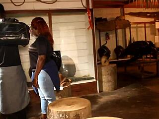 a tourist park stranger stuffs huge cock down throat then tight ass for crowd