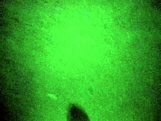 i spied perfect candid feet heels on latina prostitute forest walk pt1 slowmotion