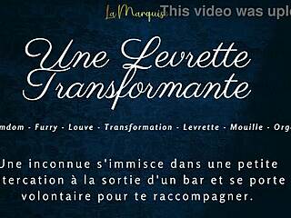 Furry French Doggy Turns Wild with Transformative Lust