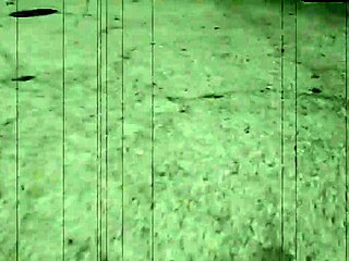 Ti sei chiesto perché Angelina Chung e Savannah Fox tengono i tacchi leccandosi la figa?