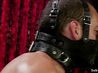 Huge Tits Alt Mistress Paddles Bound Male Sub Roughly