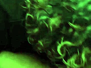 Amateur granny gums cock with mature enthusiasm