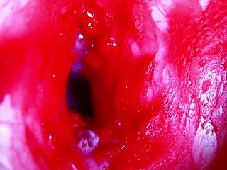 asmr head deep inside soaking wet pussy