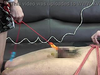 japanese femdom mero binds me for cbt facesitting torment