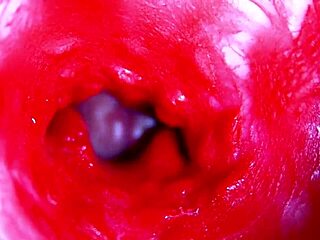 asmr head deep inside soaking wet pussy