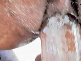swollen pussy pounded drilled double by bbc screaming wet