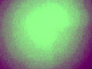 steamy hotel moans hint at hidden wet pussy pleasures