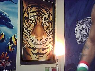 behind the scenes maxxx loadz fucks nerdy asian pussy missionary style