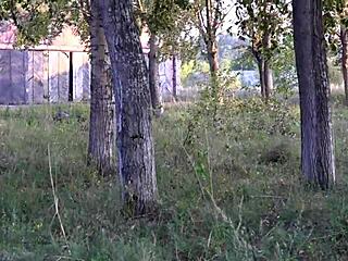 imagine anal bottle play outdoors on phone sex call with voyeur watching her hairy orgasm