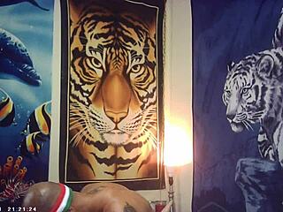 behind the scenes maxxx loadz fucks nerdy asian pussy missionary style