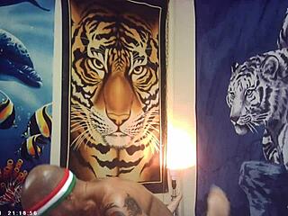 behind the scenes maxxx loadz fucks nerdy asian pussy missionary style