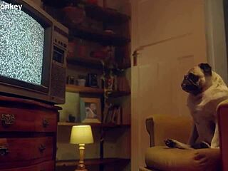 Europe's Candee Licious Lili Charmelle Toy Threesome Oral Frenzy!