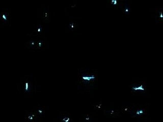 pretty skinny blonde rides cock deep then swallows cum