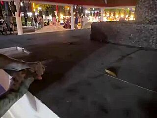 crazy thai cat lady feeds strays nothing wild here