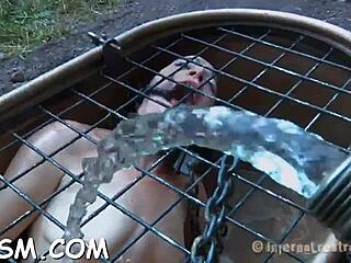 T beauty's fuck holes get stuffed with toys in hardcore BDSM play