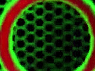 Julia ann spreads wide as nicki hunter fingers her wet pussy in steamy lesbian play