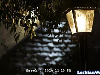 lesbian storyline milfs swap pussy licking turns