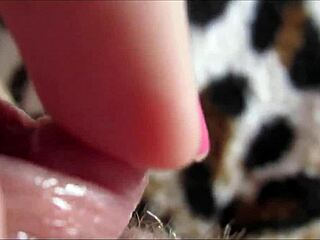 Tease Big Clit To Explosive Closeup Orgasm
