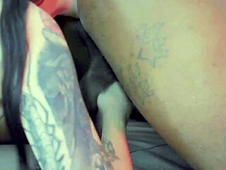 rome major creampies charlotte sartre pale cunt ass cumshot