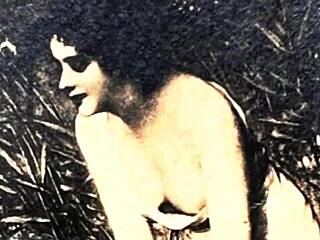 Coleção Arte Erótica Vintage Cenas Antigas