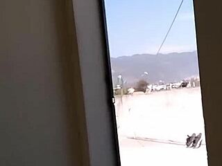 quieres masturbar esta enorme polla gorda?