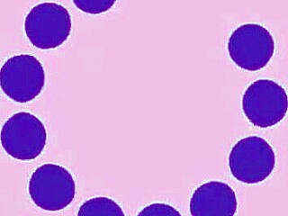 femdom rips clothes off big tits babe for intense pussy licking trip