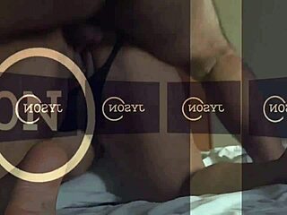 teasing video call reveals wife's secret bull encounter