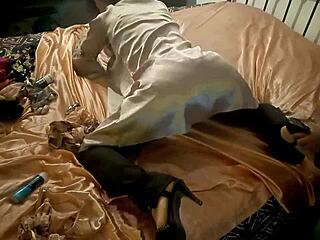 Amateur Zebra Satin Corset Panties Leather Doggy Blowjob POV