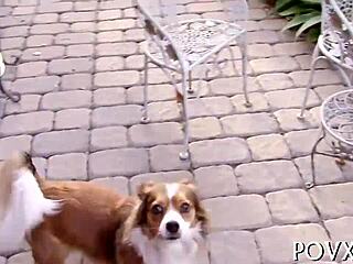 i'm addicted to this barely legal teen slut's tight pussy pov pounding