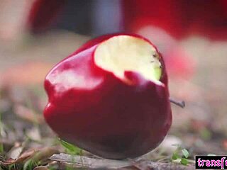 hot latina shemale pounds big tits babe hard