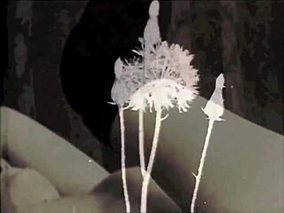 Prête pour trio interracial enceinte swinguers Londres 60s dans l'ombre ?