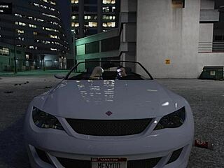 GTA 5 Hooker Service In Car Turns Wild And Steamy!