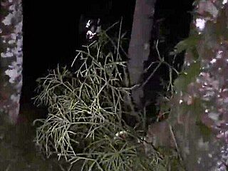 Scarlet Taylor and Busty Ebony Juliana Share Big Cocks in Wild Homemade 4some