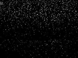 Donna Leigh gets mandatory treatment from Tampa doctor