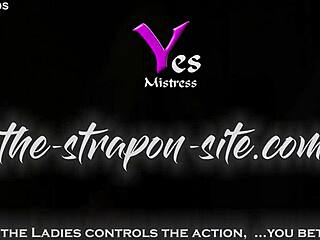 is my new strapon huge enough for you?