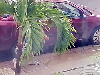 Isn't My Dumb Neighbor Hot In Shorts?!