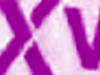 Qu� Rico Chupas Mi Amor in Jalisco Mexico Bedroom