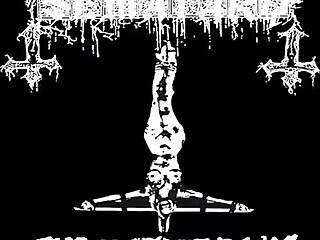 Big Tits And Massive Big Asses On Full Display