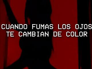 yo maluma badbunny arcangel ghetto flow one wild fuck