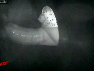 gf gloryhole sucking fucking erotic booth full vid red comments