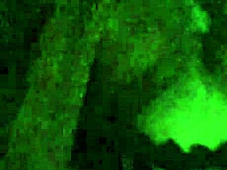 redhead wakes late night for cock sucking and ass play