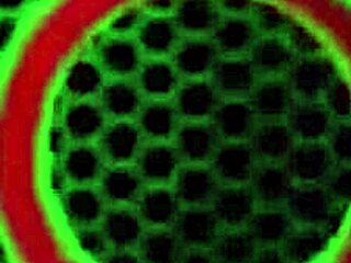 I get so wet scissoring Nicky Ferrari's big clit and pussy